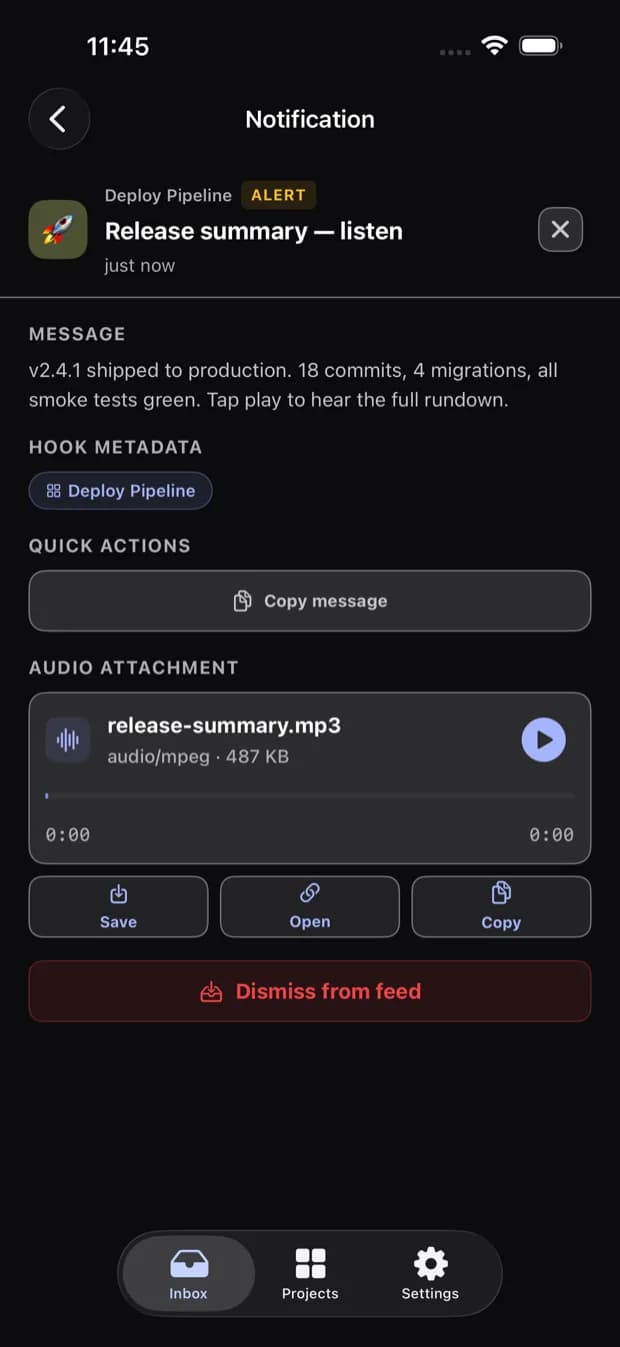Notification detail showing an audio attachment with an inline player